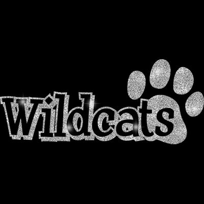 GLT17 SILVER GLITTER Thumbnail