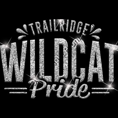 GLT62 SILVER GLITTER Thumbnail