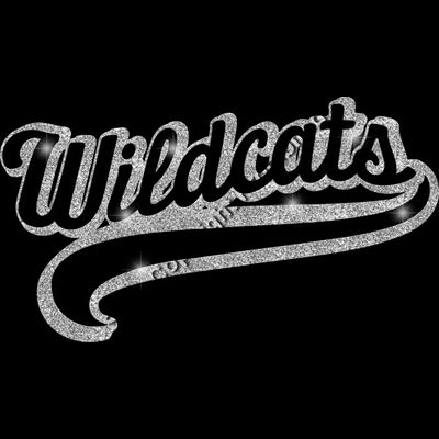 GLT78 SILVER GLITTER Thumbnail