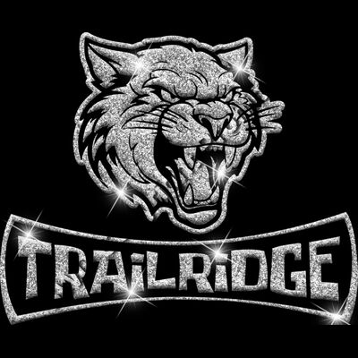 GLT94 SILVER GLITTER Thumbnail